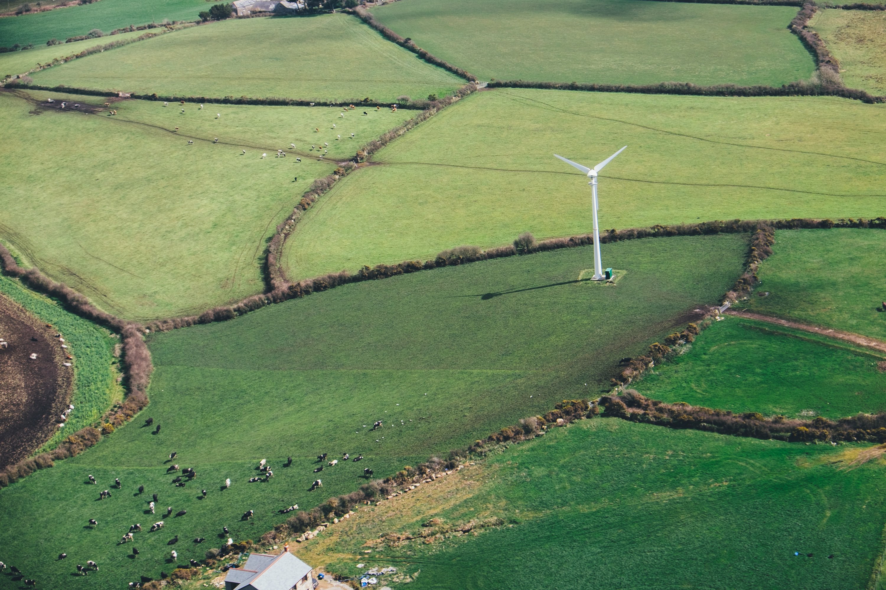 Does your renewable energy meet the good quality criteria?