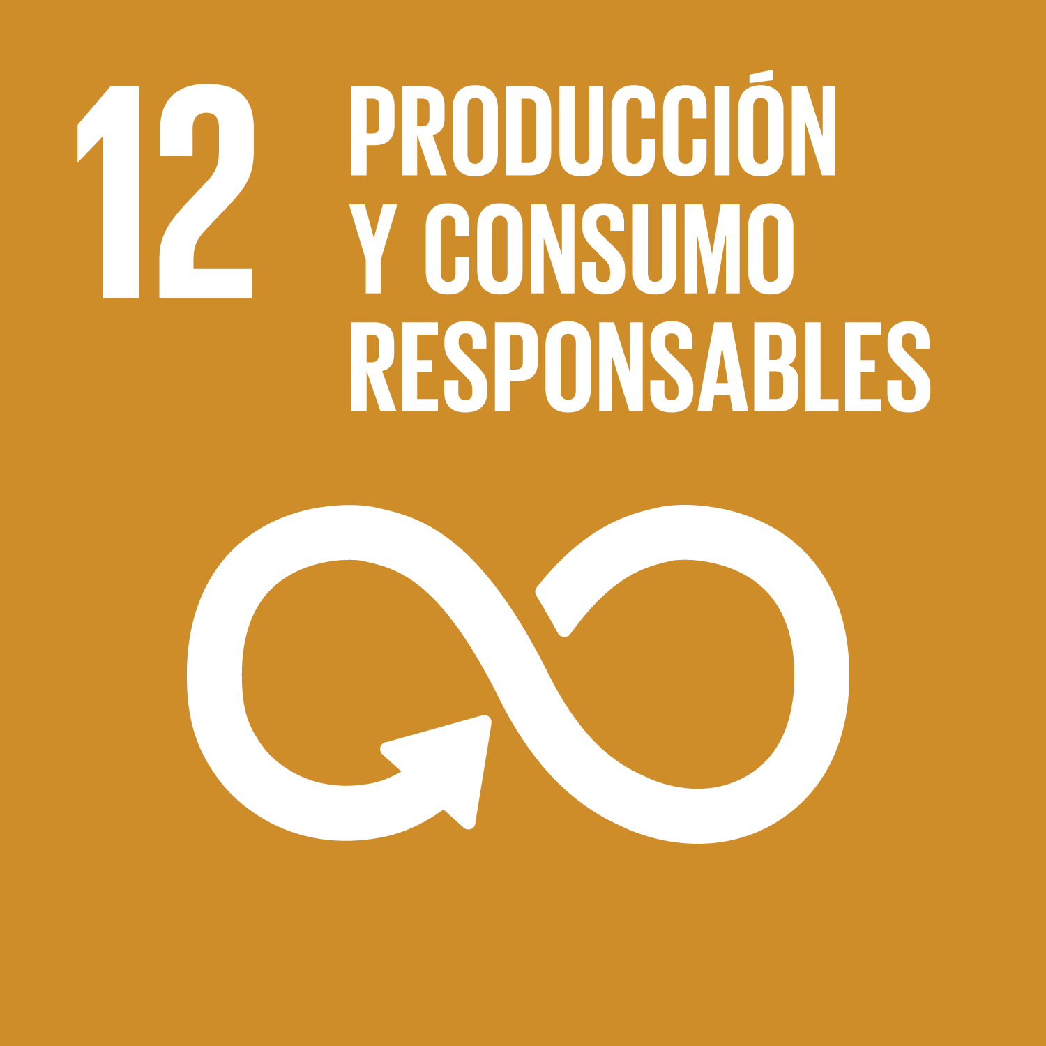 Los Objetivos de Desarrollo Sostenible - Garantizar patrones de consumo y producción sostenibles.