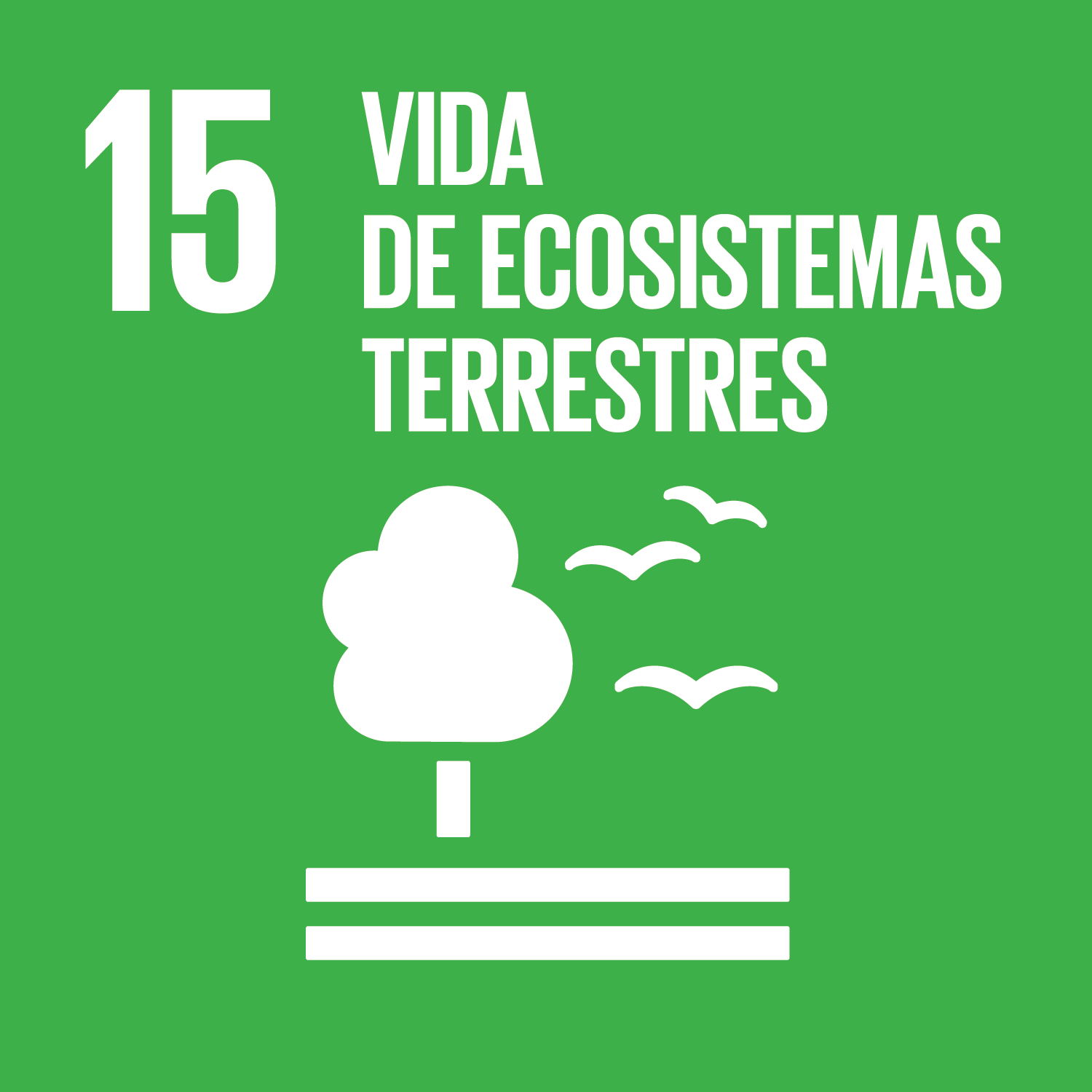Los Objetivos de Desarrollo Sostenible - Vida de ecosistemas terrestres