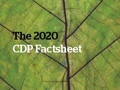 2020 CDP Factsheet
