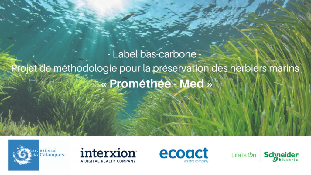 EcoAct et ses partenaires lancent le projet de méthodologie pour la préservation des herbiers marins : « Prométhée - Med »