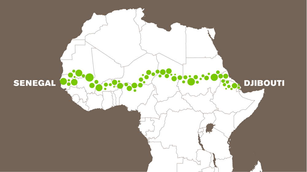 Lutter contre la désertification en Afrique : le pari de la Grande muraille verte