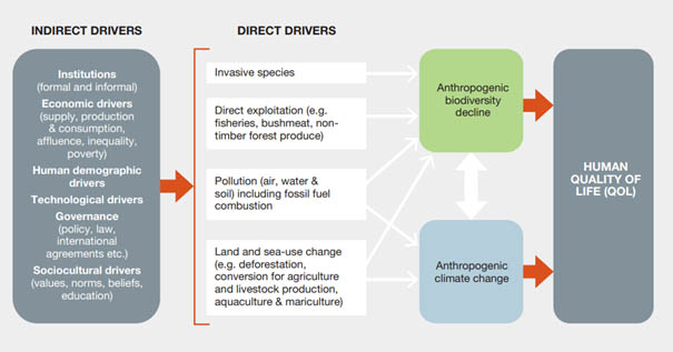 New IPCC and IPBES report calls for integrated management of climate change and biodiversity