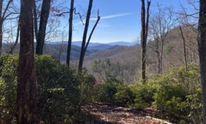 Cherokee Forest project audit: Analyzing the impacts of forest conservation