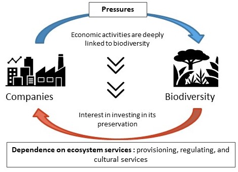 Biodiversity: What are the main challenges for private and public stakeholders?