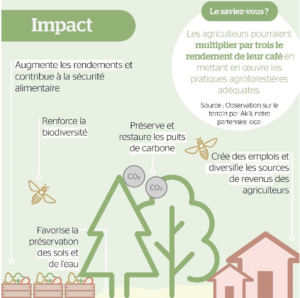 Bénéfices sociaux, économiques et environnementaux de la mise en place de systèmes agroforestiers, EcoAct